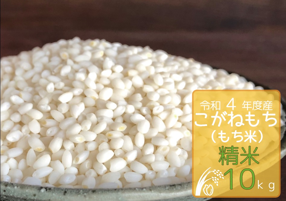 令和4年度　福井県産　 カグラモチ　もち米　玄米30kg